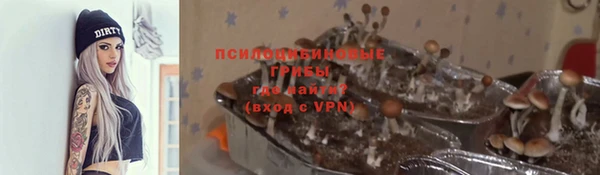 скорость Алзамай