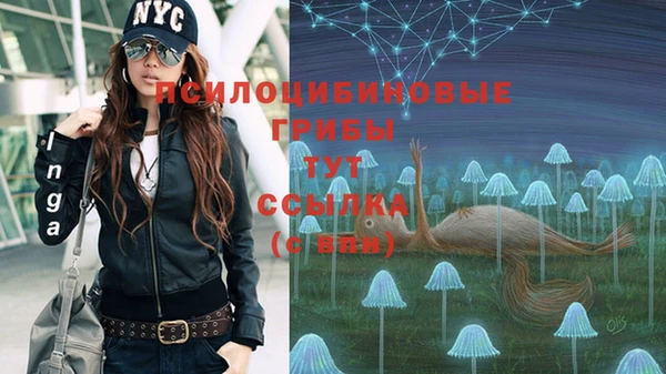 скорость Алзамай